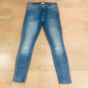 mother looker birds of paradise